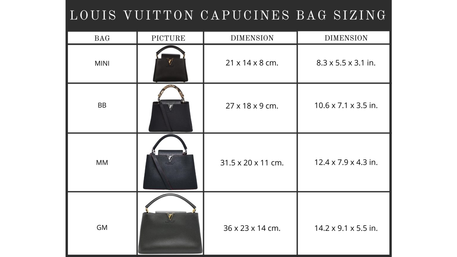 Louis Vuitton Bag Sizing