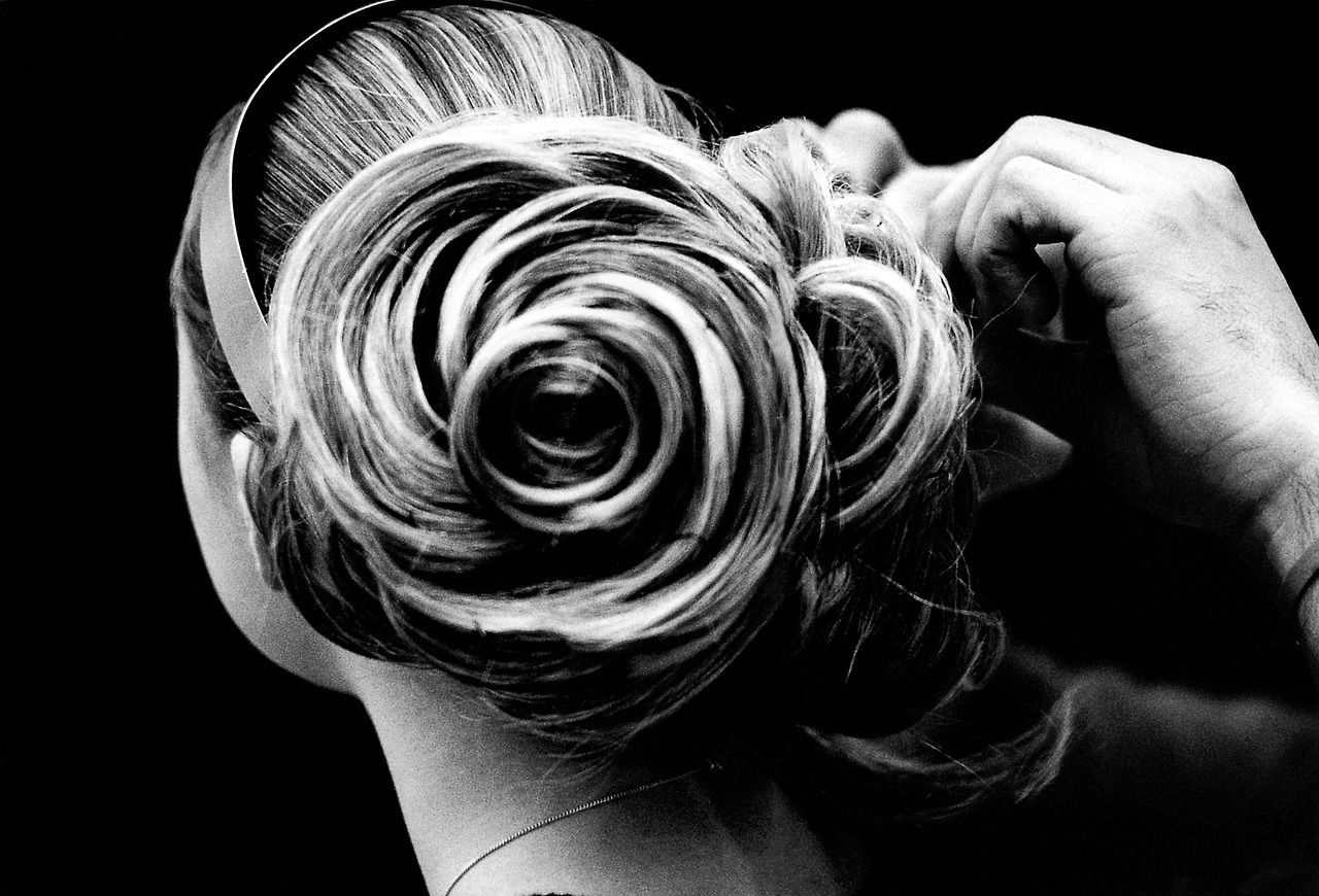ดอกคามิเลีย - Chanel - The Camellia