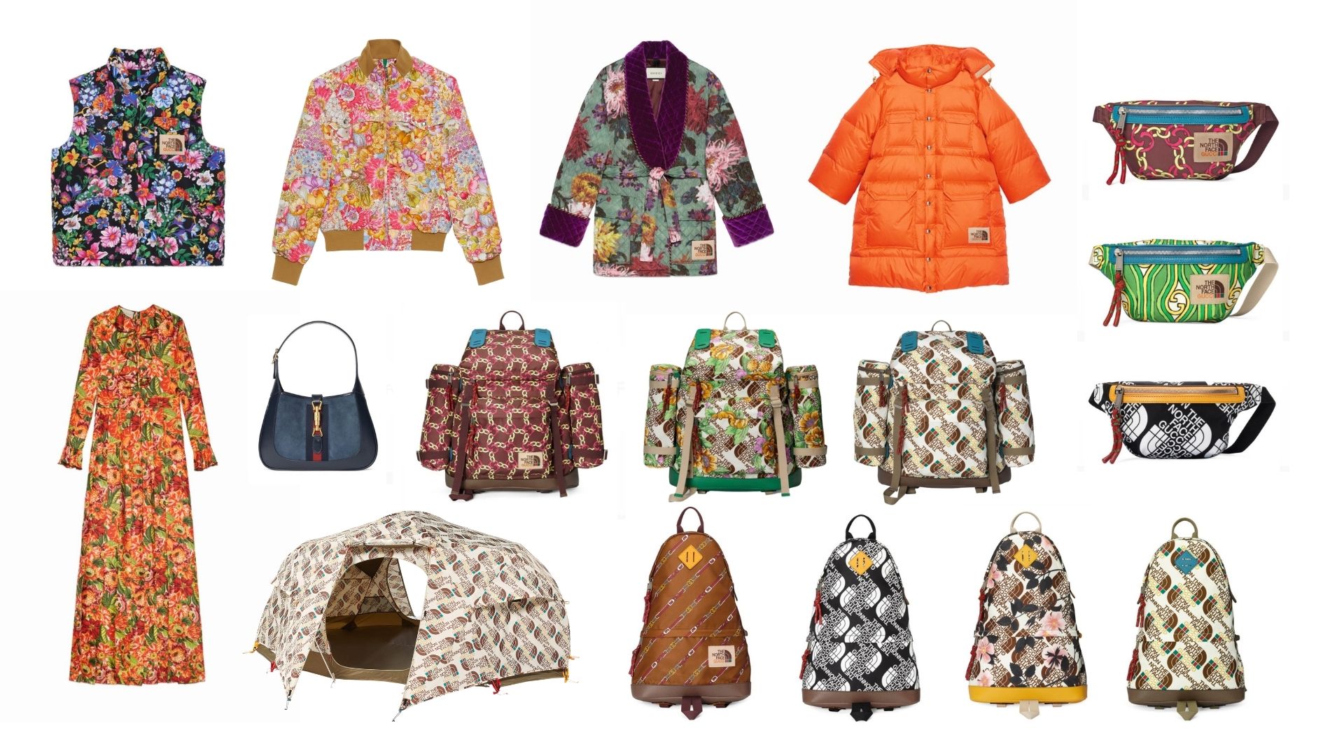 The North Face x Gucci Collection