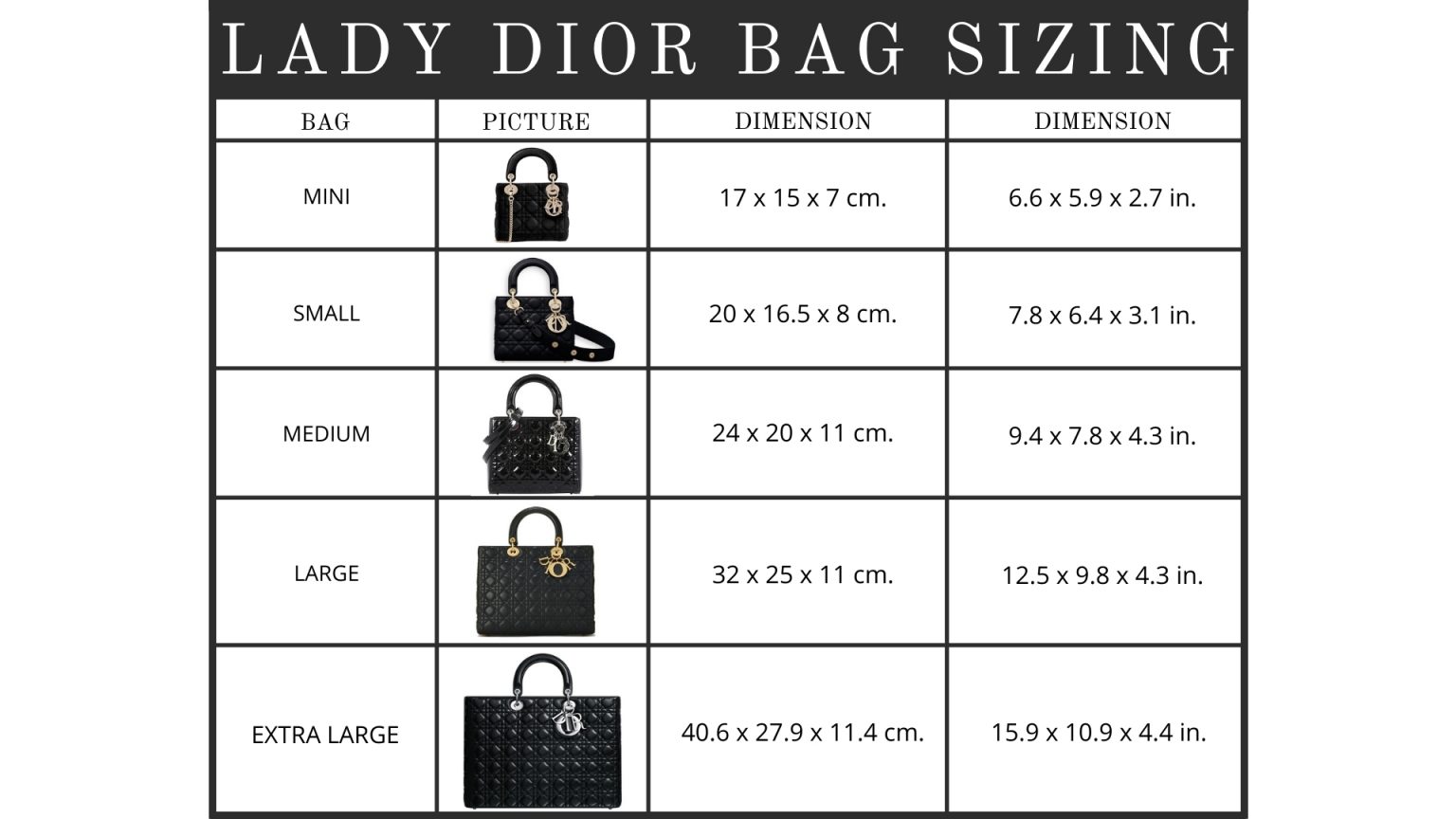 Dior Size Guide แนะนำการเลือกขนาดกระเป๋า KATE💋 STYLE