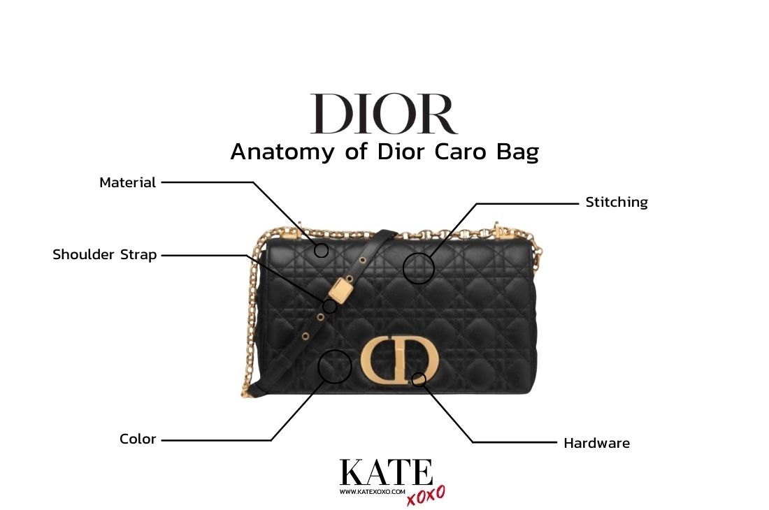 Meet the New Dior Caro Bag  PurseBop
