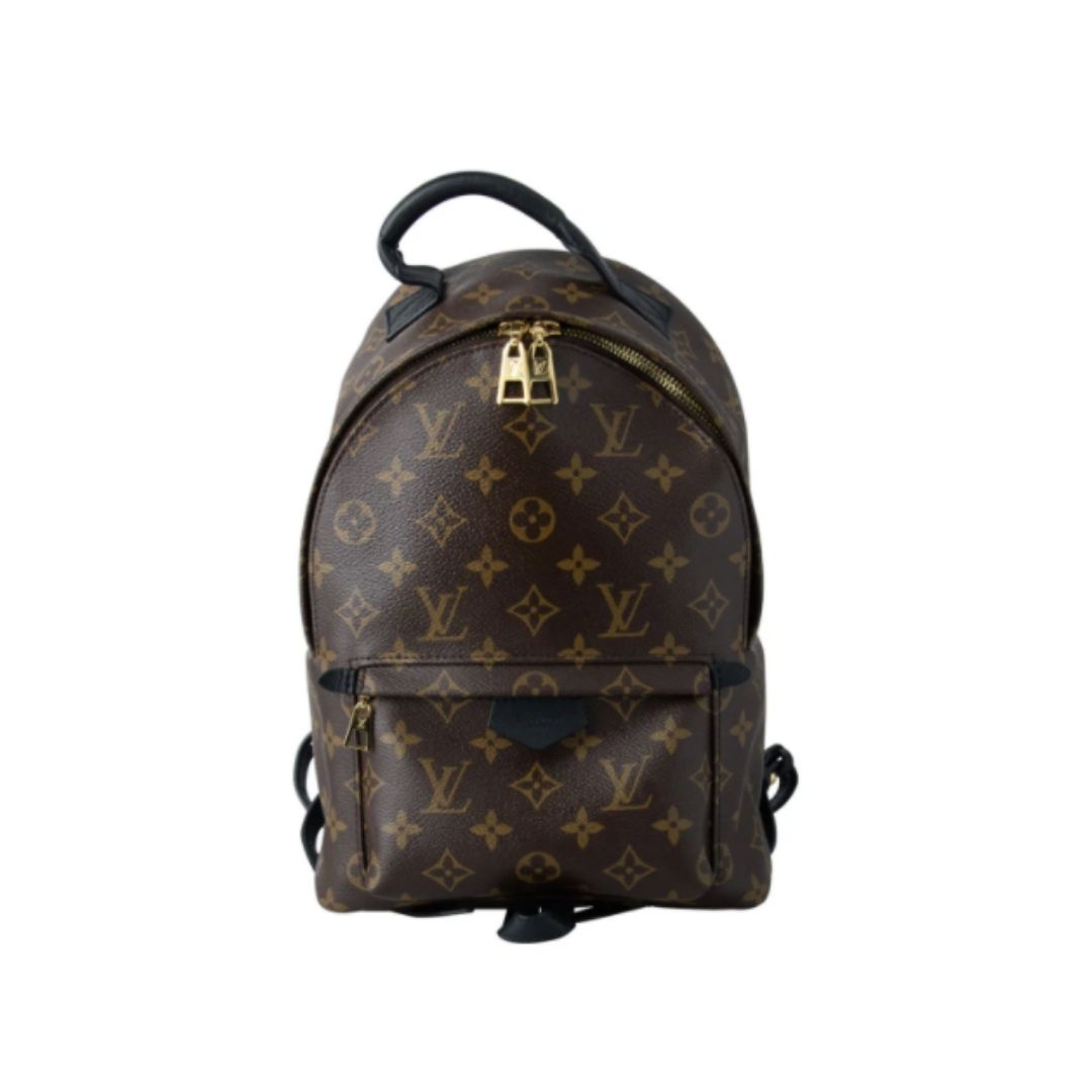 Louis Vuitton Backpack Palm Spring Monogram