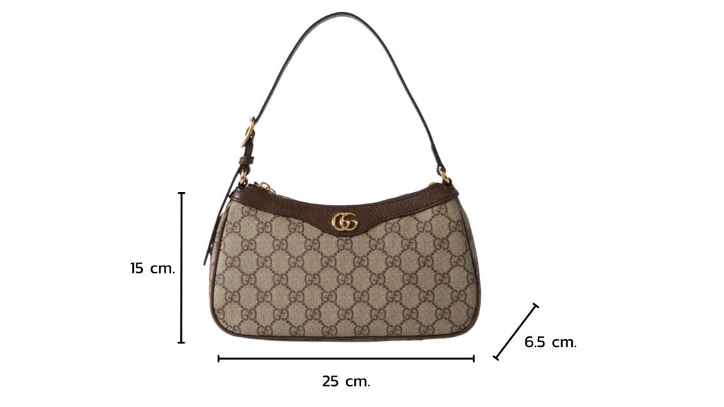 Size of Gucci Ophidia GG Small Handbag _ ขนาดของกระเป๋า