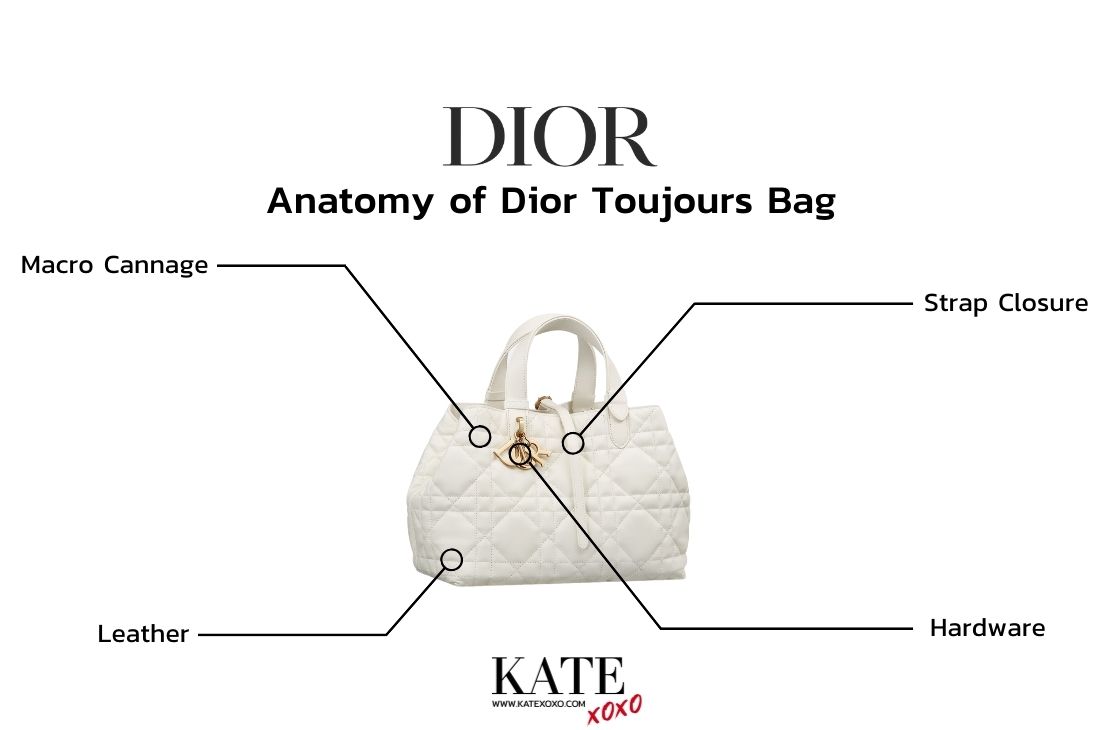 Anatomy of Dior Toujours Bag (3)