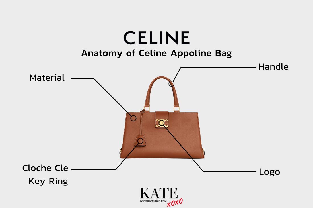 Anatomy of Celine Appoline Bag