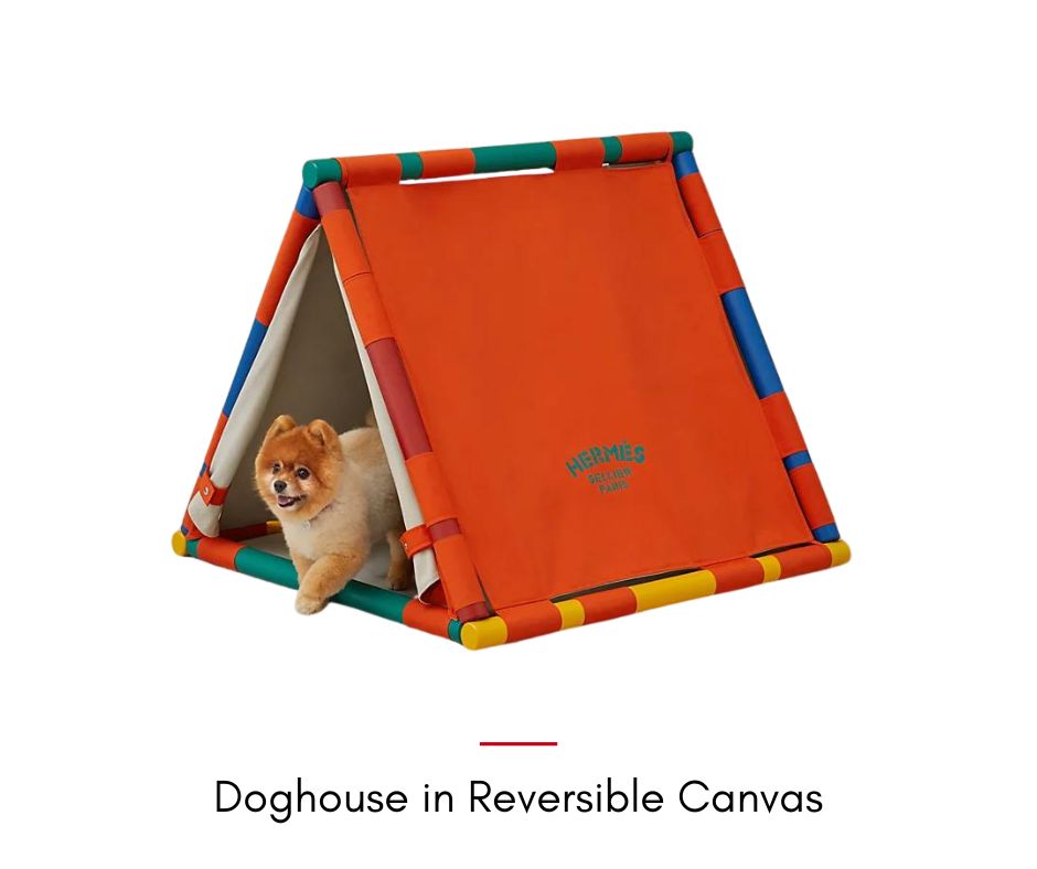 Doghouse in Reversible Canvas
