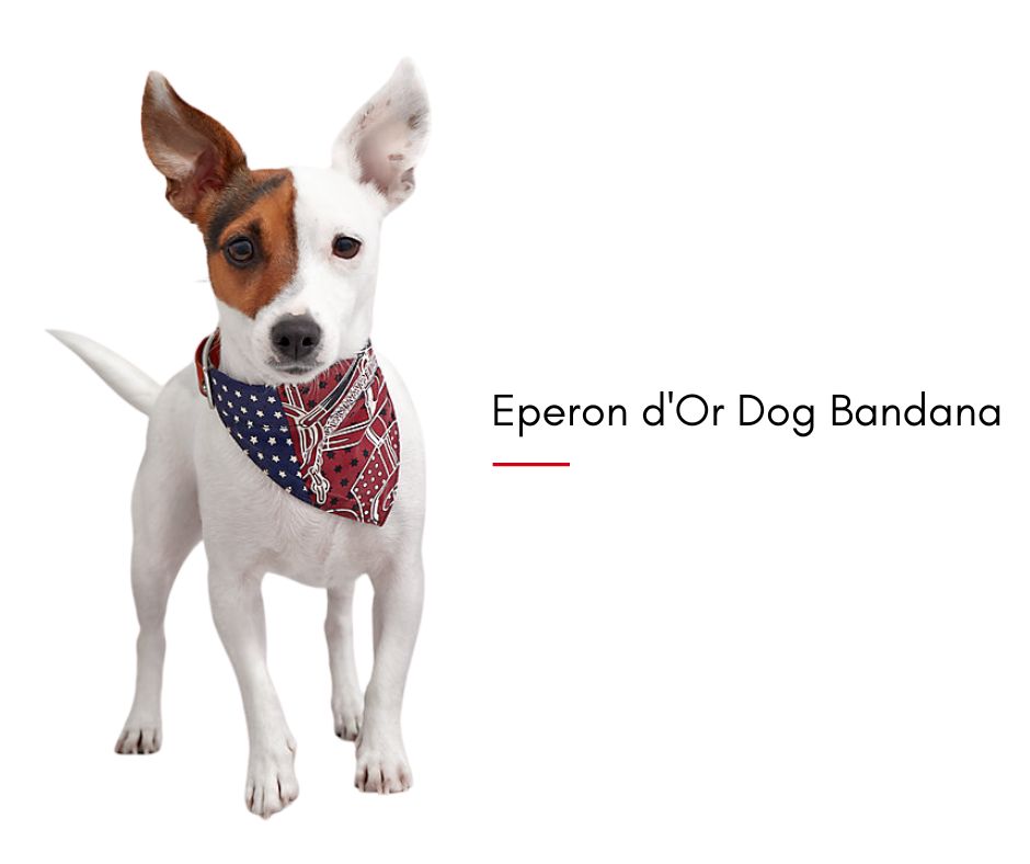 Eperon d'Or Dog Bandana-Hermes's Dog รวมไอเท็มสุดหรูของคุณหนูมีขน