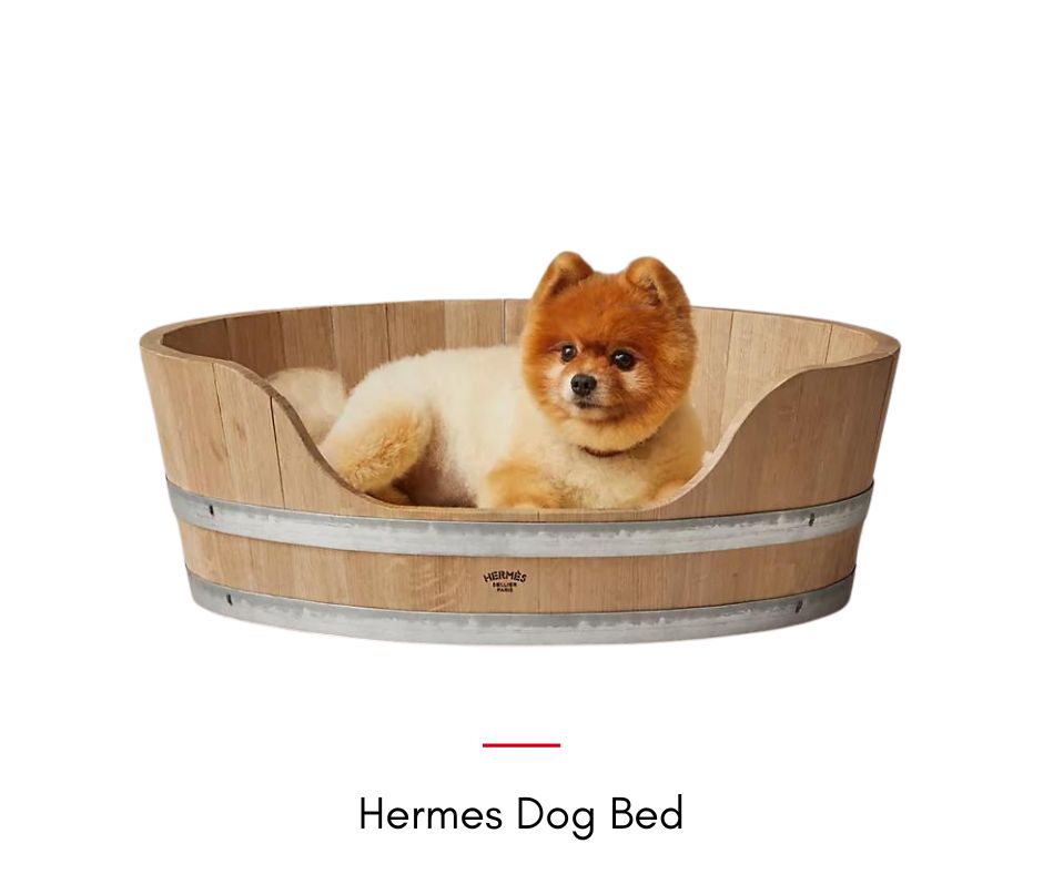 Hermes Dog Bed-Hermes's Dog รวมไอเท็มสุดหรูของคุณหนูมีขน