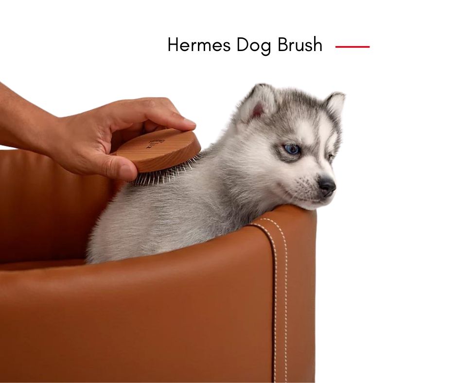 Hermes's Dog รวมไอเท็มสุดหรูของคุณหนูมีขน-Hermes Dog Brush