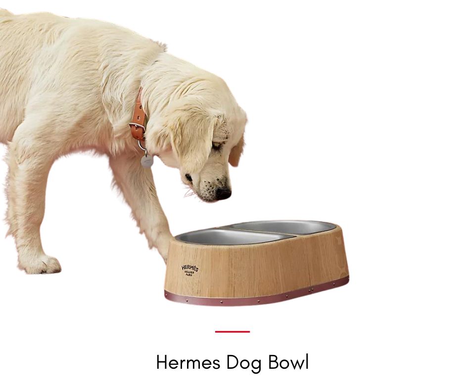 Hermes Dog Bowl-Hermes's Dog รวมไอเท็มสุดหรูของคุณหนูมีขน