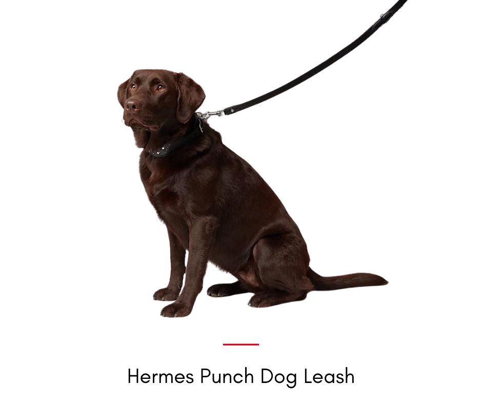 Hermes Punch Dog Leash