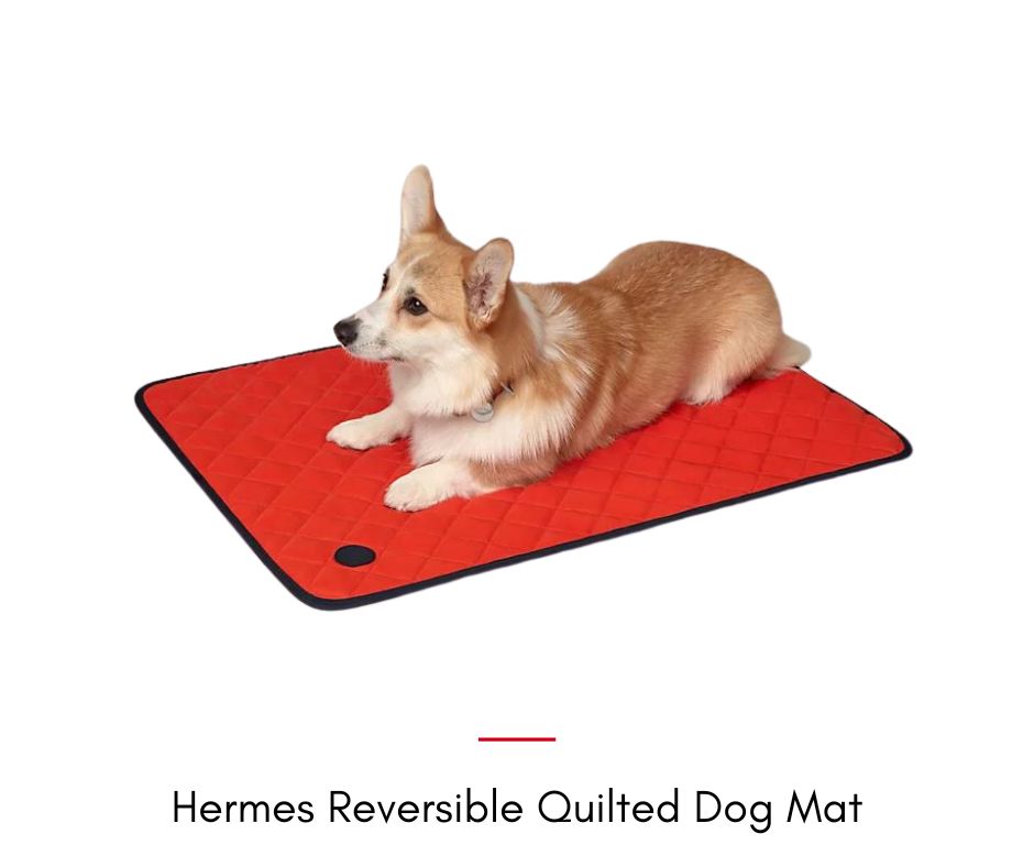 Hermes Reversible Quilted Dog Mat