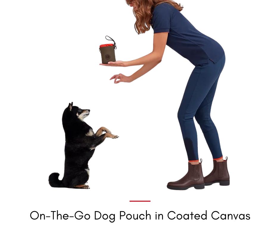 On-The-Go Dog Pouch in Coated Canvas