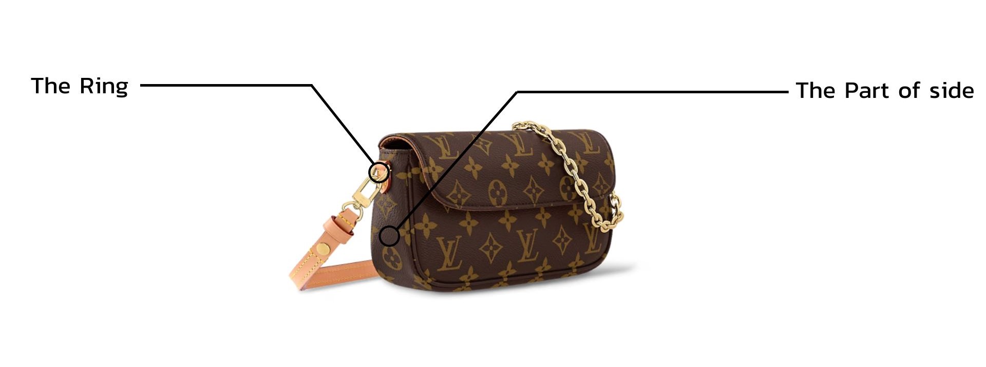 Anatomy of Louis Vuitton Ivy Bag - Anatomy of Louis Vuitton Ivy Bag (4)