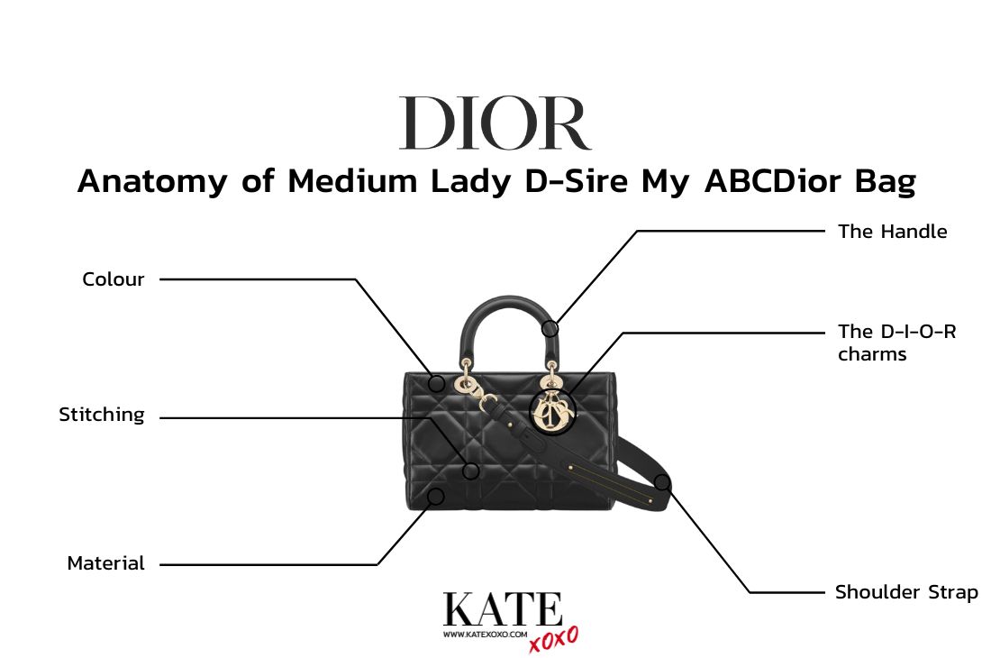 Anatomy of Medium Lady D-Sire My ABCDior Bag