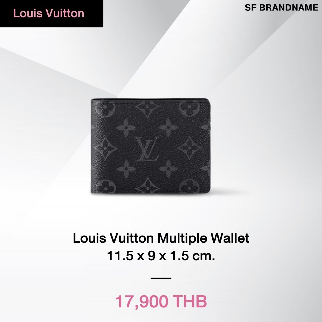 Louis Vuitton Multiple Wallet