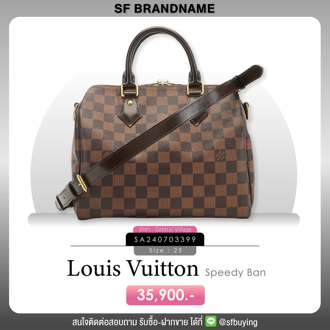 louis vuitton Speedy Bandoulière 25 Damier Ebene Canvas