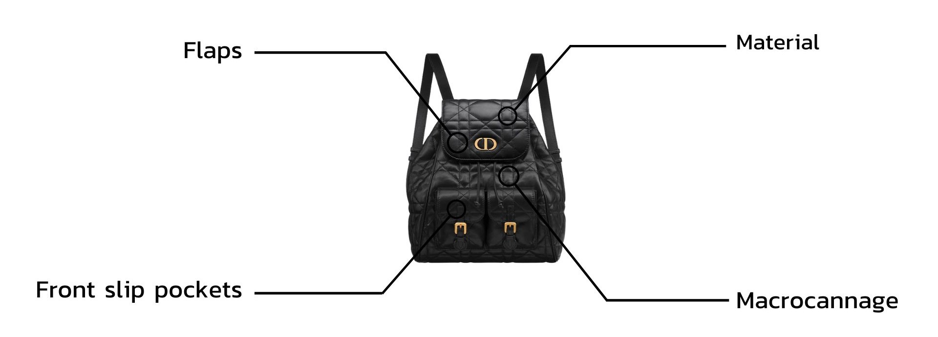 Anatomy of Dior Caro Backpack