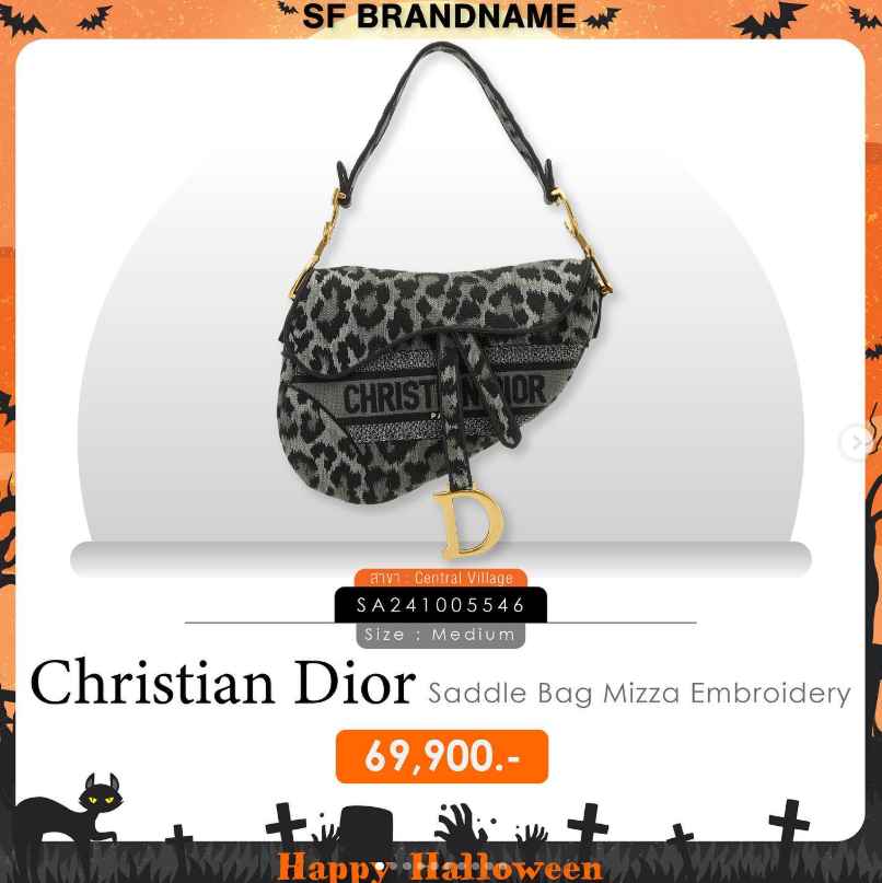 Dior Saddle Bag